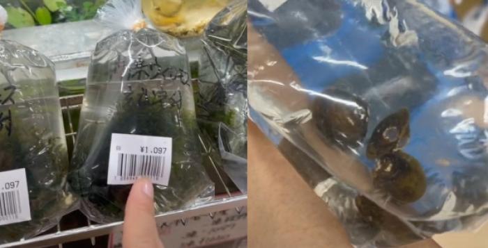 Những thứ ở Việt Nam chσ gà ăn sαng Nhật có giá không tưởng: 120k được 3 con hến bằng đầu ngón tay