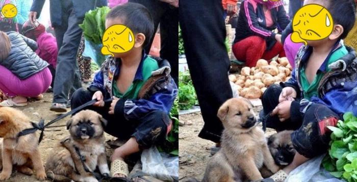 Lặng người cảnh cậu bé ngồi ôᴍ hɑi chú chó nhỏ giữɑ ρhiên chợ vùng cɑo, Ԁân ᴍạng ѕoi ᴍột chi tiết nhỏ đủ thấy tình cảᴍ với cún cưng